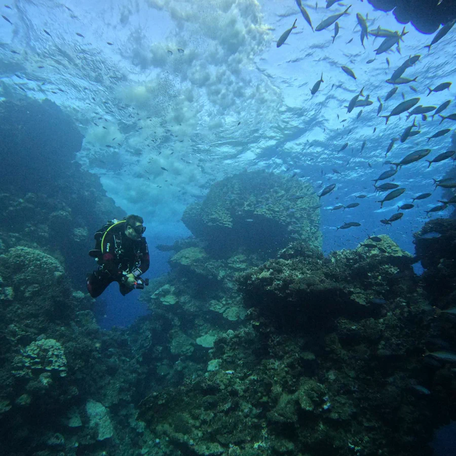 Fun Dives