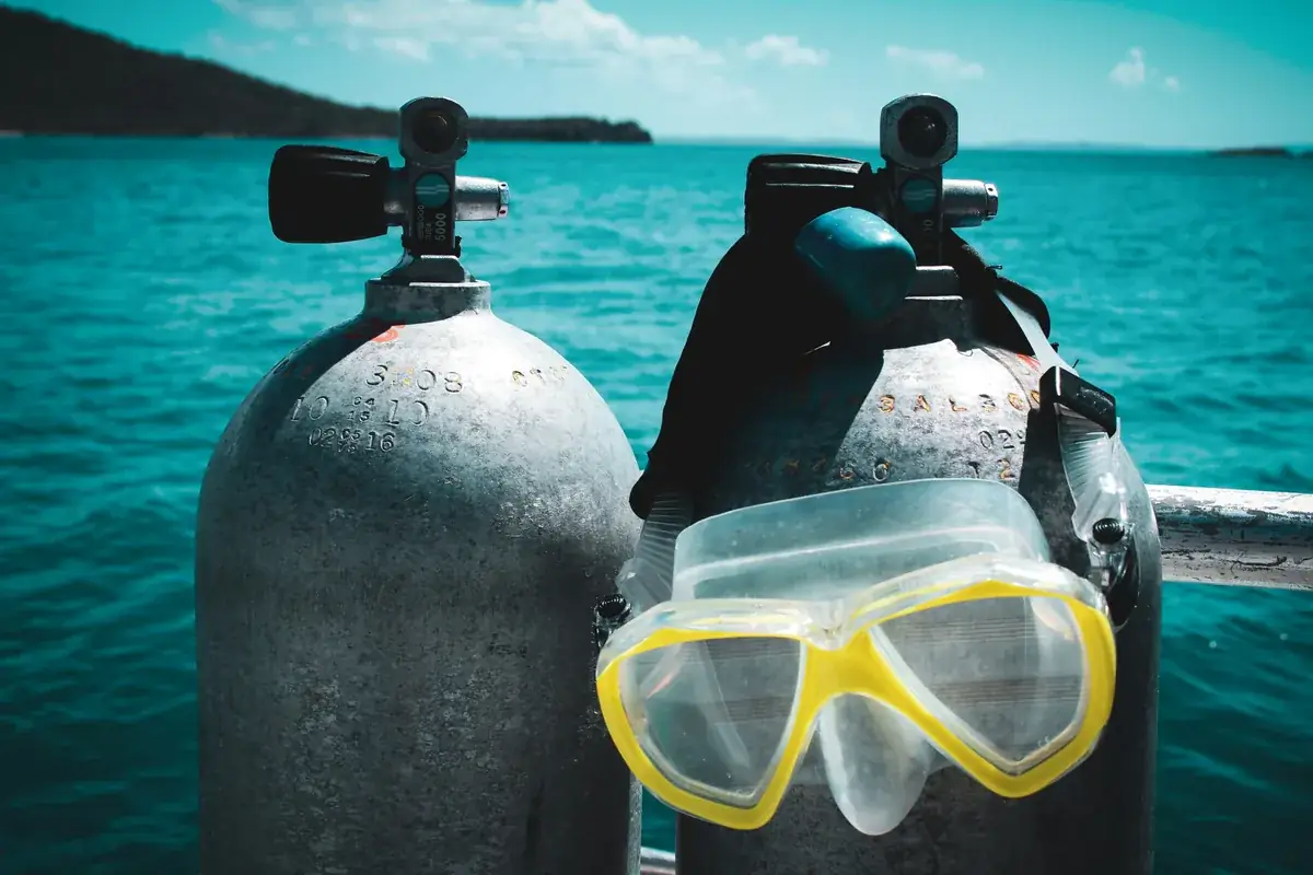 Marine life observation