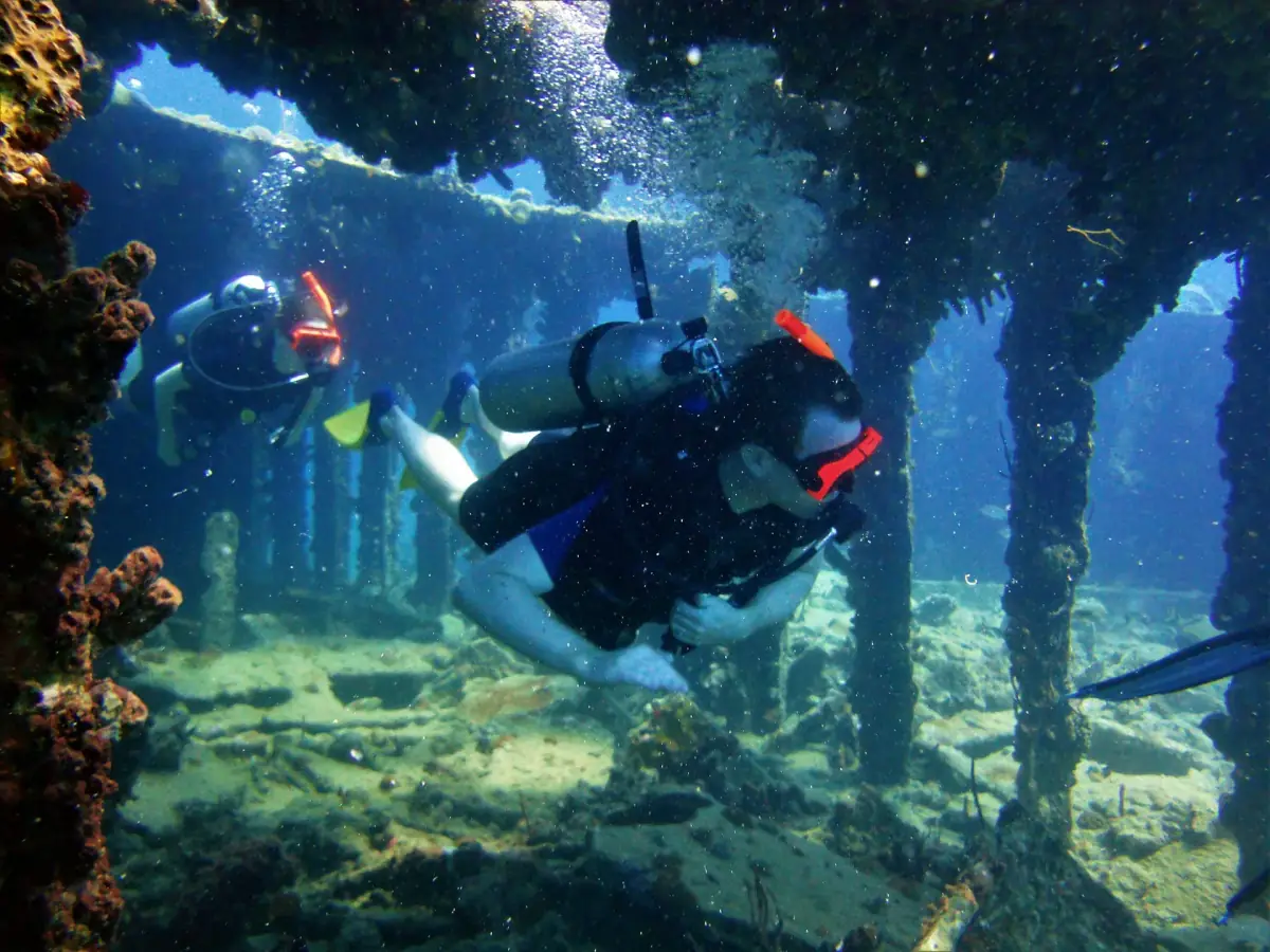 Group diving session