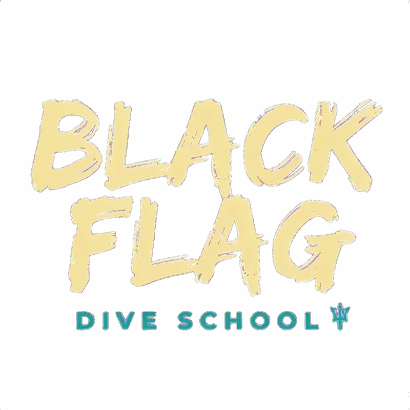 Black Flag Logo